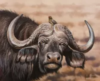 Quebra-cabeça Buffalo