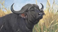 Quebra-cabeça Buffalo