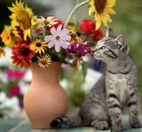 Quebra-cabeça Bouquet and cat