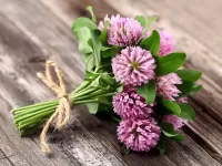 Jigsaw Puzzle Bouquet of clover
