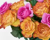 Jigsaw Puzzle A bouquet of roses