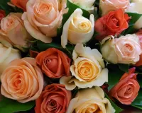 Jigsaw Puzzle Bouquet of roses