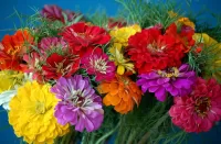Jigsaw Puzzle Bouquet of tiny