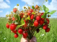 Bulmaca a bouquet of strawberries