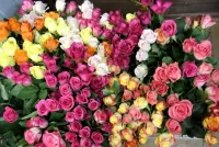 パズル Bouquets of roses