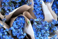 Jigsaw Puzzle Forget-me-not bouquets