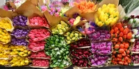Puzzle Bouquets of tulips