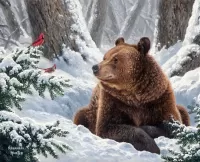 Zagadka Brown bear