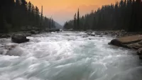 Quebra-cabeça Rough river