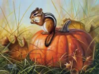 パズル Chipmunk on a pumpkin