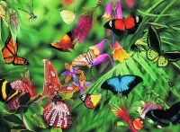 Jigsaw Puzzle Butterflies and Beetles