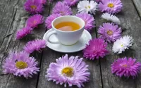 Puzzle Tea and asters