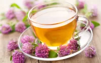 Zagadka Tea with clover