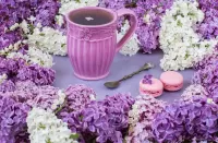 Slagalica Lilac tea