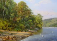 Zagadka Seagulls on the river