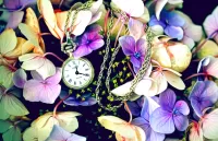 Zagadka Clock among flowers