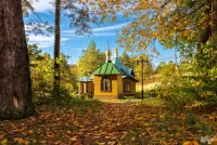 Puzzle Chapel in the forest