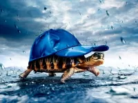 Quebra-cabeça Turtle with a cap