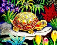 Puzzle Turtle