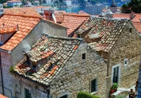 Jigsaw Puzzle Tiled roofs