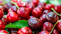 Jigsaw Puzzle Cherry drops