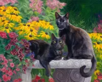 Quebra-cabeça Black cats