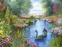 Rompicapo Black swans 2