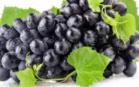 パズル Black grapes