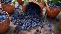 Puzzle Blueberry