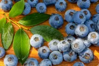 Zagadka Blueberries in dew