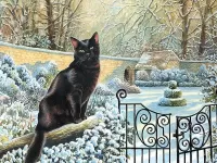 Пазл Черный кот