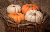 Quebra-cabeça Four pumpkins