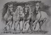 Пазл Четвёрка лошадей