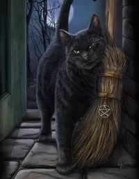 Пазл Чёрный кот