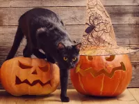 Slagalica Black cat