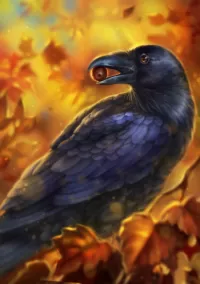 Bulmaca Black Raven
