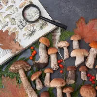Jigsaw Puzzle Gifts of autumn