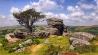Quebra-cabeça Dartmoor