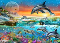 パズル Dolphins