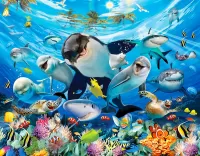 Puzzle Dolphins and sharks