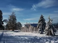 Quebra-cabeça Village in winter