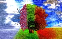 Jigsaw Puzzle The tree of seasons