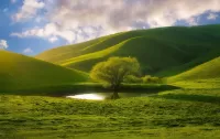Слагалица Tree among the hills