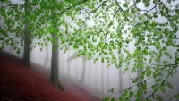 Quebra-cabeça Trees in the fog