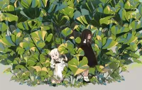 Puzzle Girls in the jungle