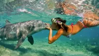 Rompecabezas Girl and dolphin
