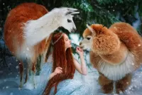Слагалица Girl and two llamas