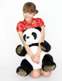 Rompecabezas The girl with the Panda