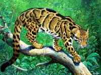 Пазл Дымчатый леопард 