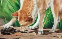 Jigsaw Puzzle Dingo and turtle